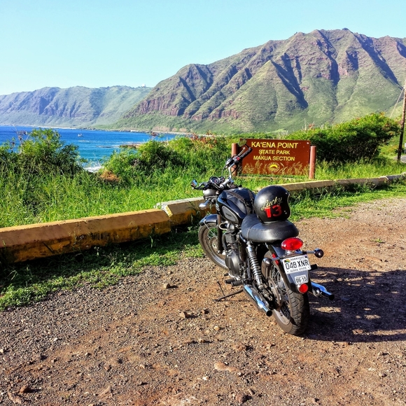 Meet your Posher, Oscar - Picture 1 of 1